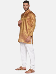 Men Gold Colour Polyester Kurta Pyjama Set