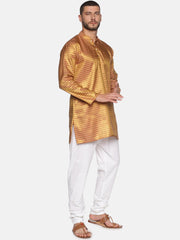Men Gold Colour Polyester Kurta Pyjama Set
