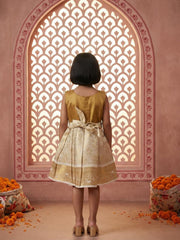 Baby Girl  Silk Traditional Frock