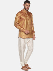 Men Gold Colour Polyester Kurta Pyjama Set